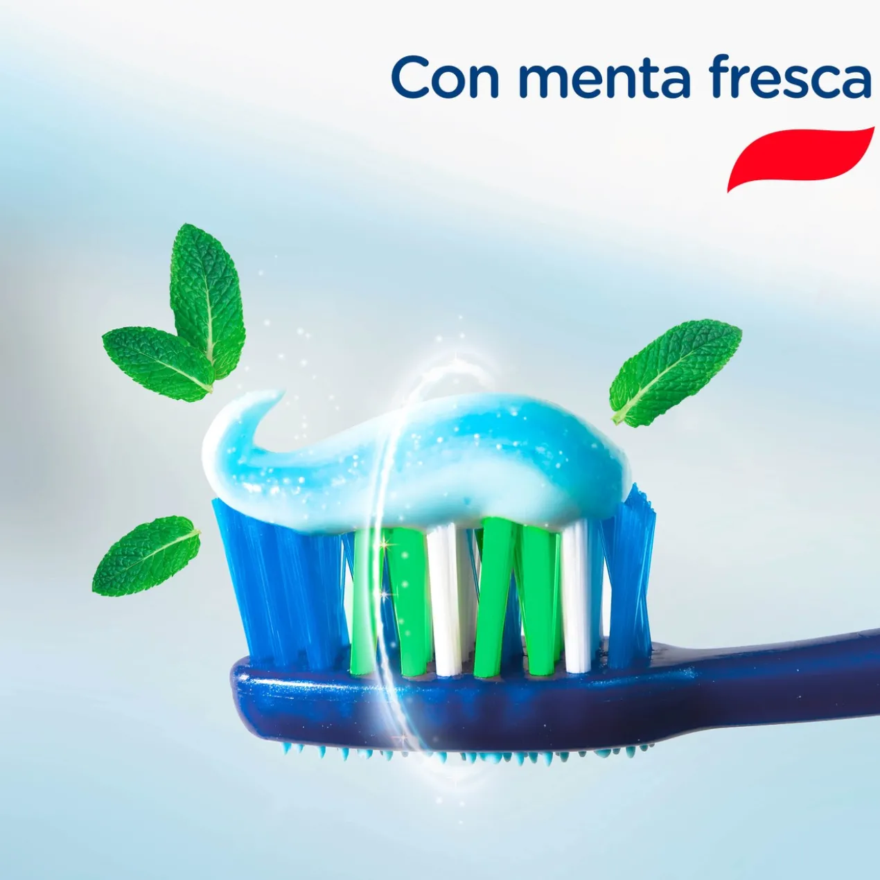Gel Fraîcheur Dentifrice