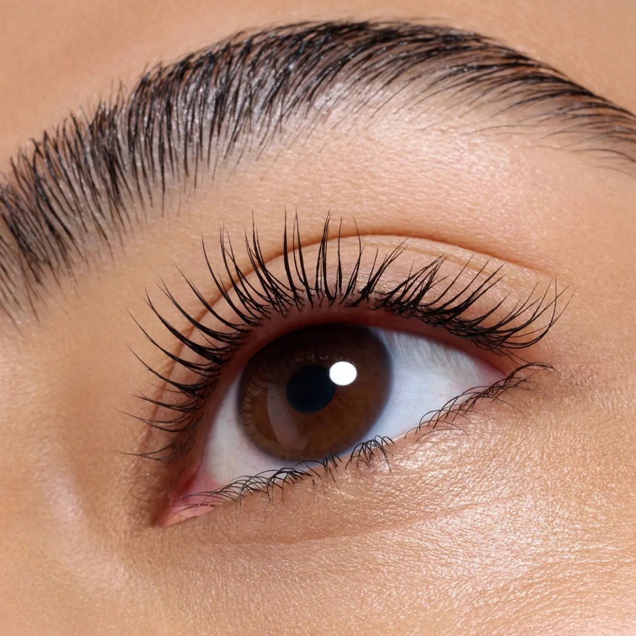 Glam & Doll Curl Freeze Gel Sculpteur de Cils