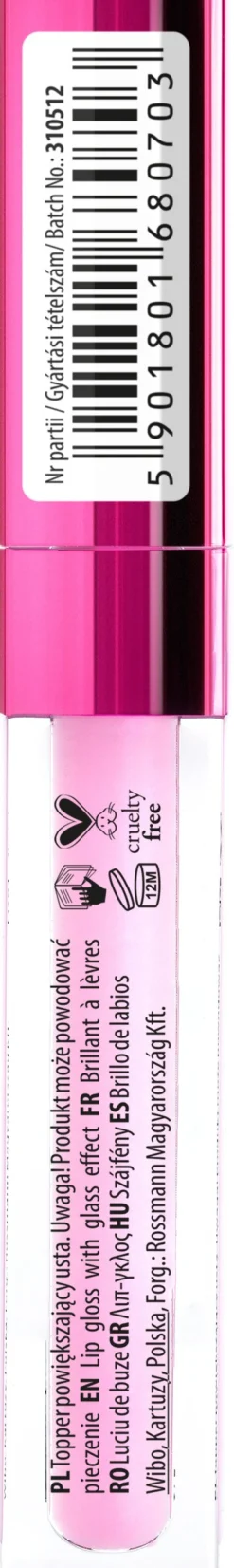 Gloss à Lèvres Big Lips