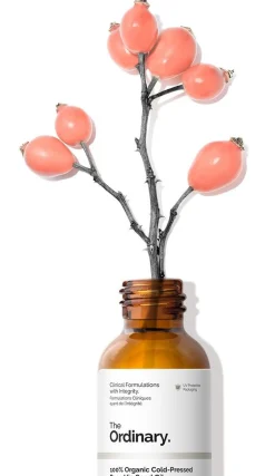 Graines de Rose Musquée Pure à 100%