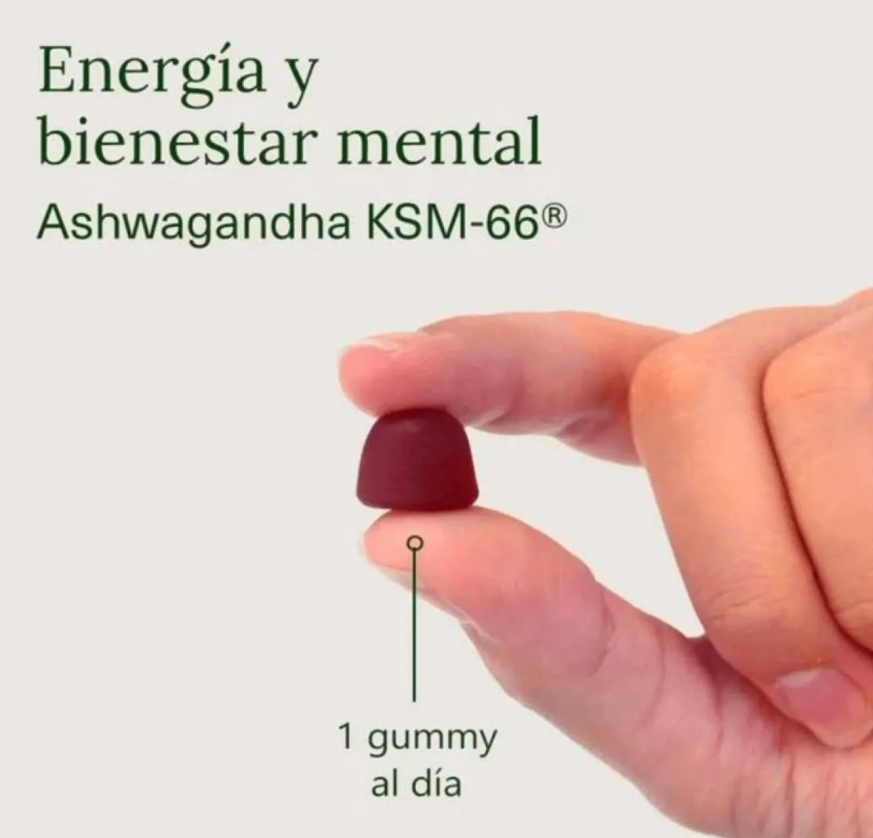 Gummies Ashwagandha KSM-66 Goût Cerise