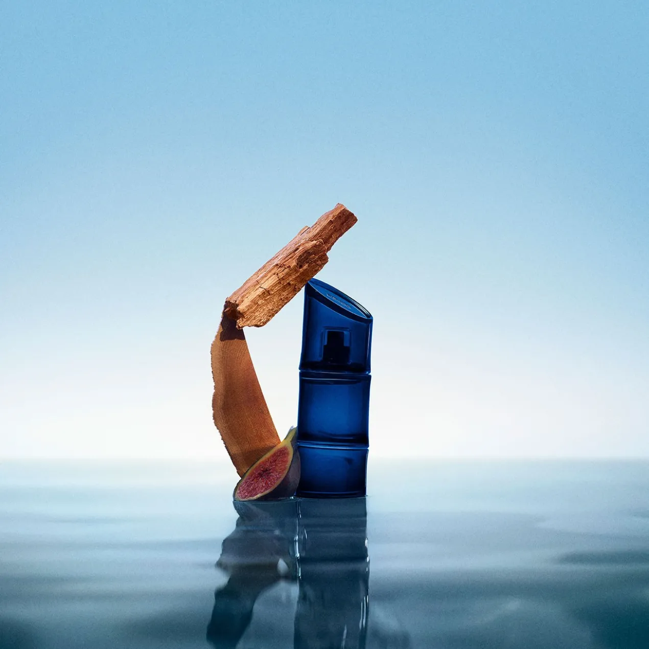 Homme Eau de Toilette Intense