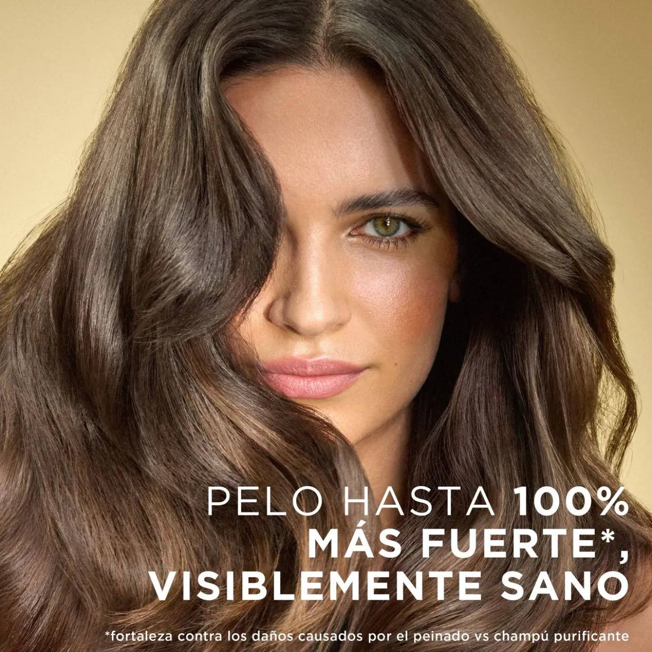 Huile protectrice Pro-V Réparation & Protection