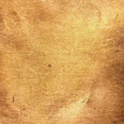 Huile Sèche Brillante Monoï de Tahiti