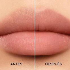 KissKiss Bee Lift Base de Traitement