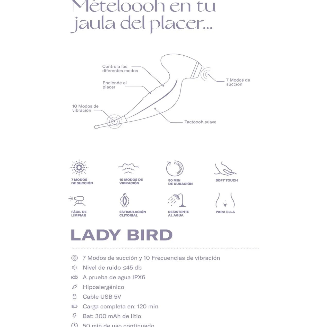 Lady Bird Suceur