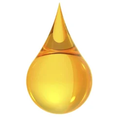 Lait pour le Corps à l'Huile d'Olive