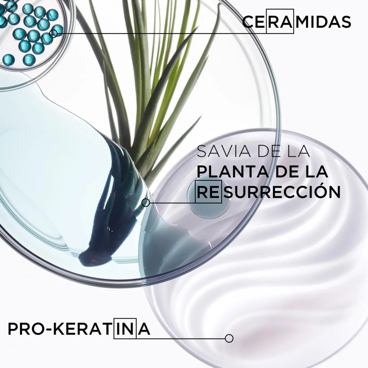 Lait Reconstructeur Resurfaçant Ciment Thermique
