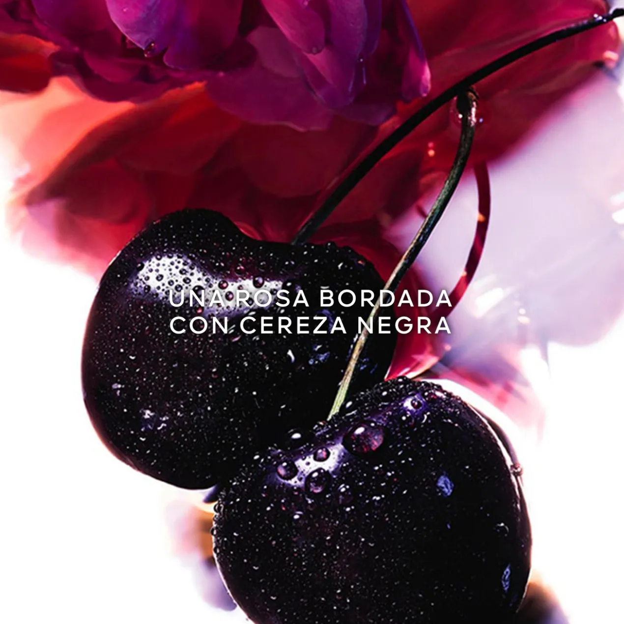 La Petite Robe Noire Coeur Eau de Parfum