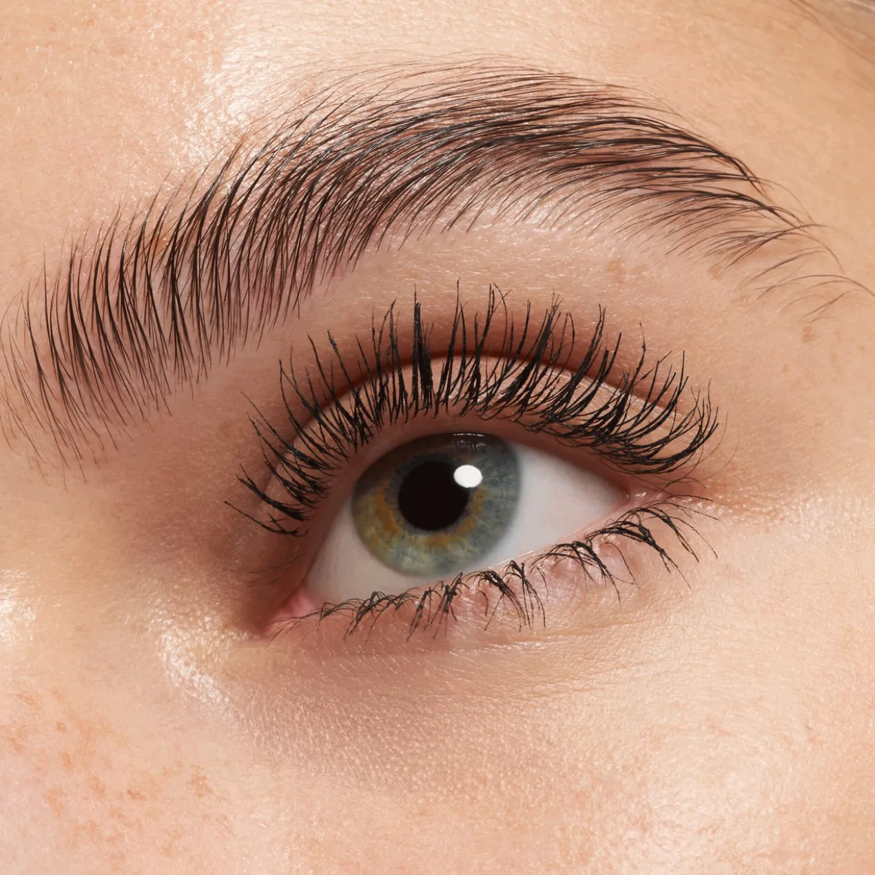 Lash Princess False Lash Effect Mascara