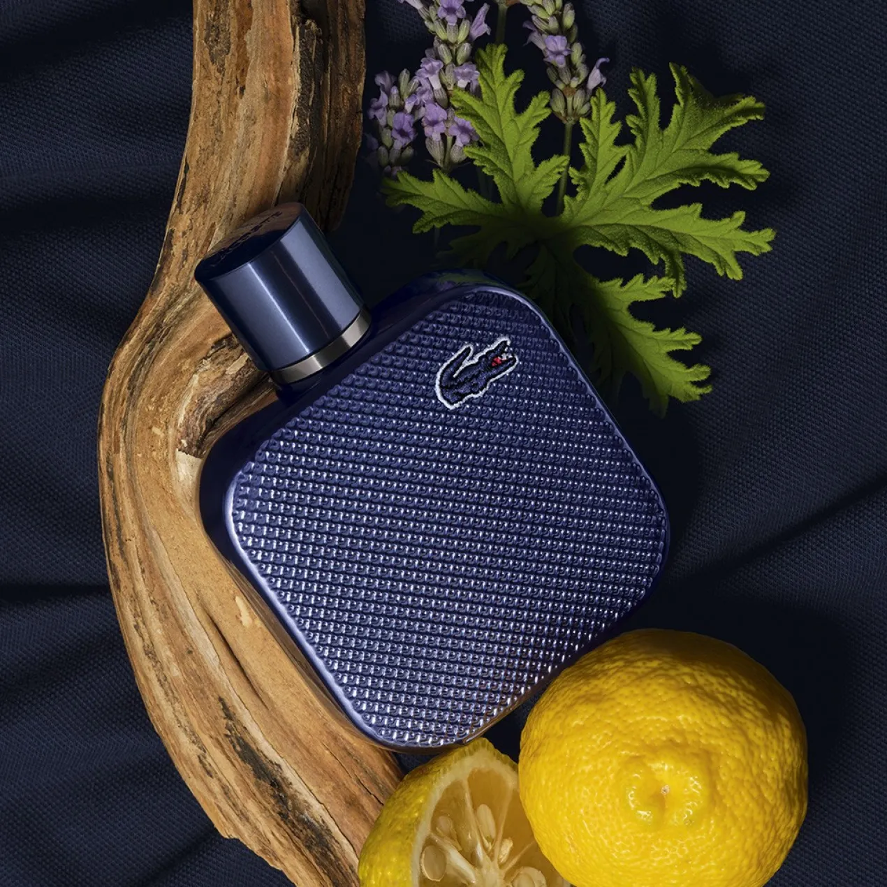 L.12.12 Bleu Eau de Parfum