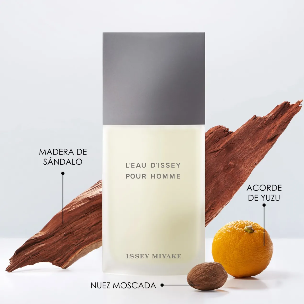 L'Eau d'Issey Pour Homme Eau de Toilette