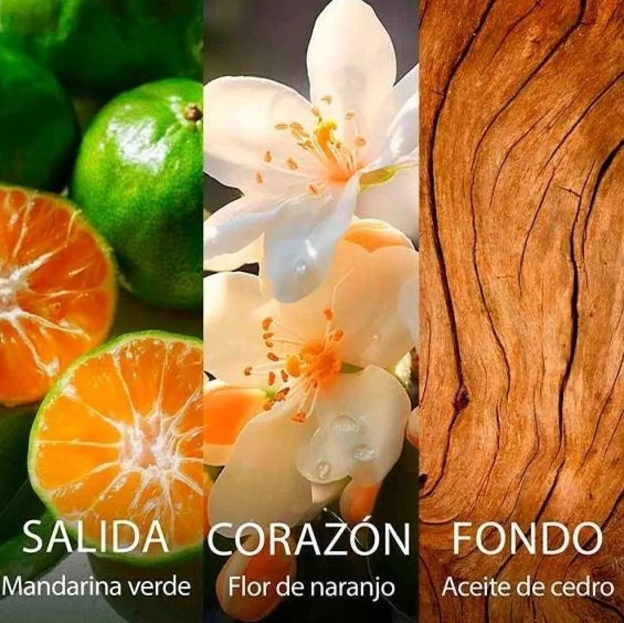 Les Eaux du Monde Neroli Eau de Toilette pour Femme