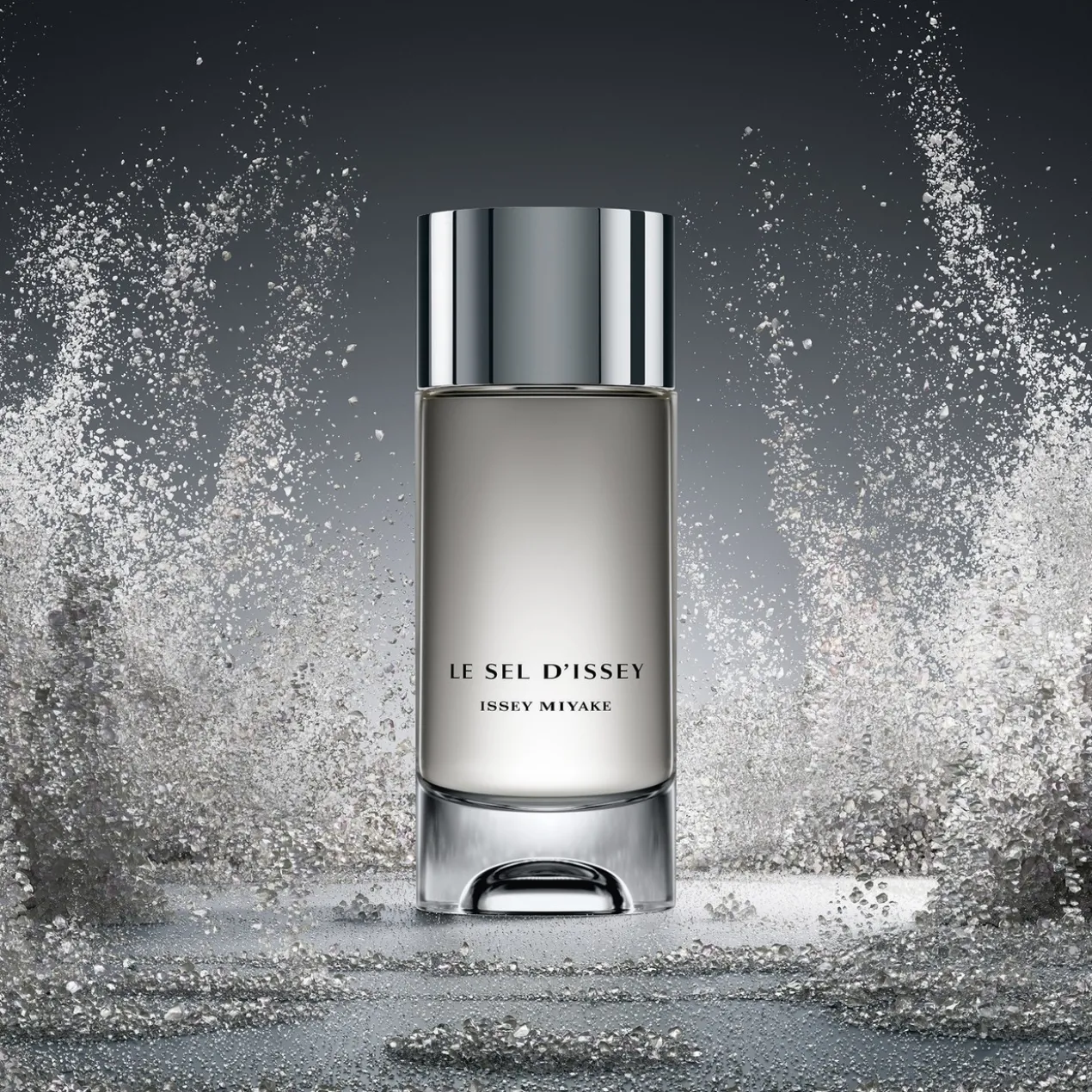 Le Sel d'Issey Eau de Toilette