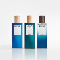 Loewe 7