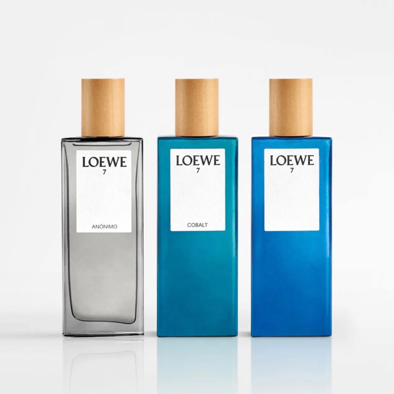 Loewe 7