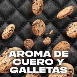 Lot économique déodorant spray Leather & Cookies 48H