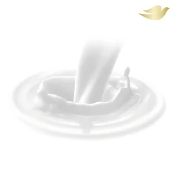 Lotion Nourrissant Intensif Peau Très Sèche