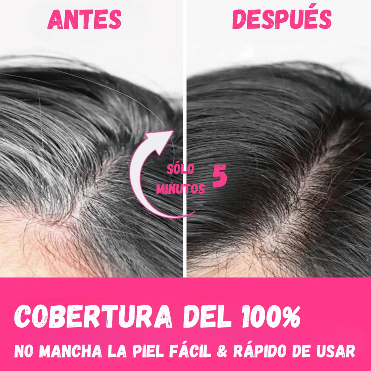 Maca Essence Shampoing Colorant 10 en 1 Noir