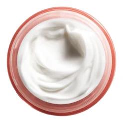 Moisture Surge Intense Soin Hydro-Relipidant 72 Heures