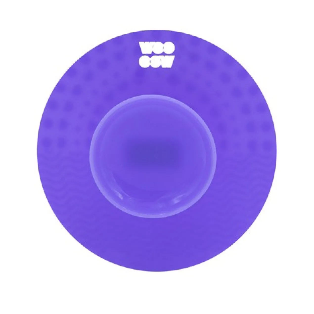 Nettoyeur de Pinceaux avec Ventouse