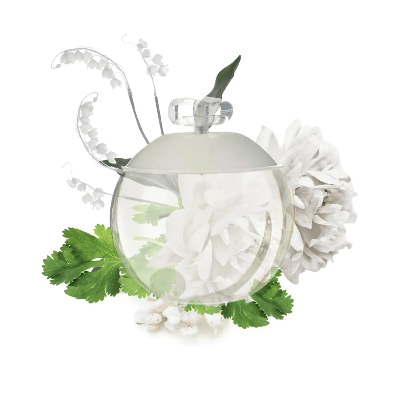 Noa Eau de Toilette