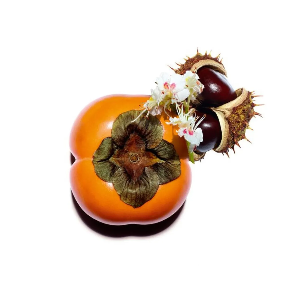 Nutri Lumière Revive Crème de Jour