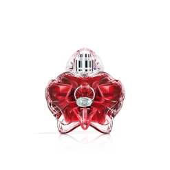 Only Desire Eau de Parfum