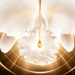 Orchidée Impériale Gold Nobile Crème