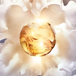 Orchidée Impériale La Crème Riche