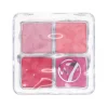 Palette De Blush Blur It Blush
