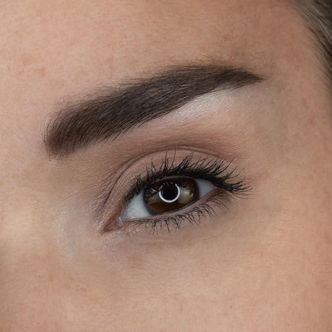 Palette Diva Brows pour Sourcils