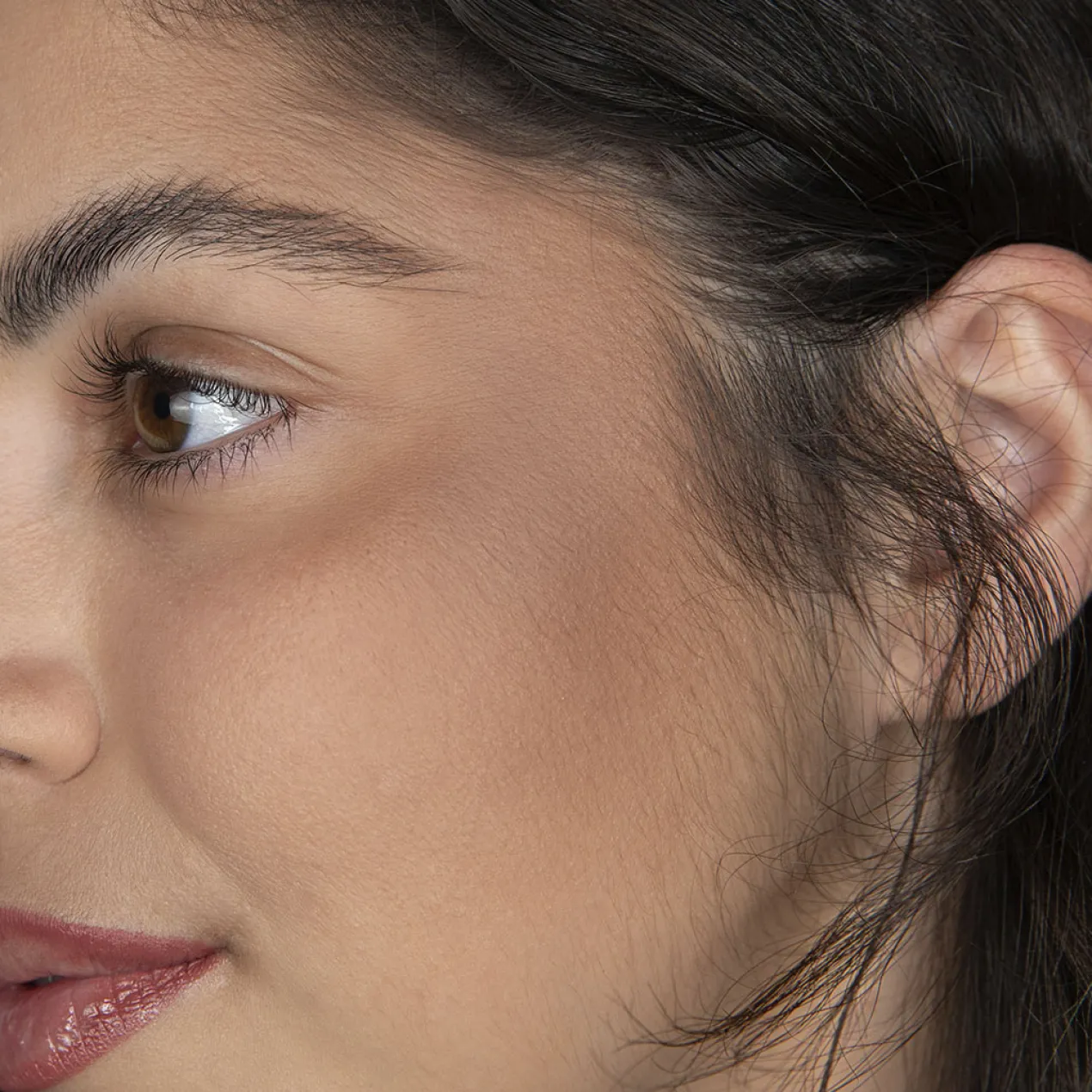 Palette Powder Contouring