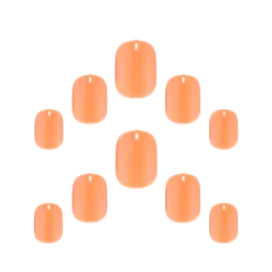 Petite Gel Finish Tulip Sunrise Faux Ongles