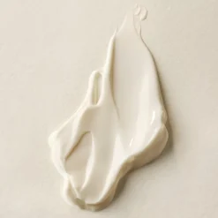 Plantscription Crème Raffermissante à Effet Liftant