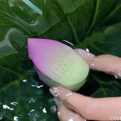 Éponge de maquillage au poudre naturelle d’aloe vera