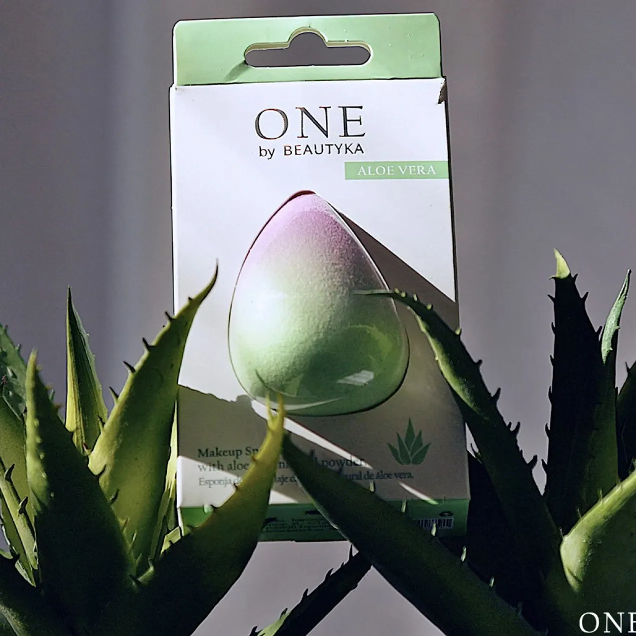 Éponge de maquillage au poudre naturelle d’aloe vera