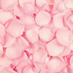 Rose Sugar Scrub Gommage pour le Visage