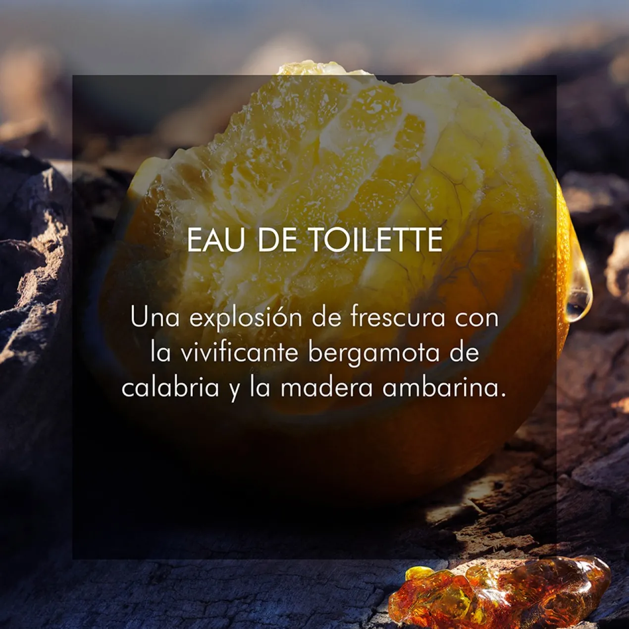 SAUVAGE Eau de Toilette