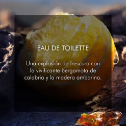 SAUVAGE Eau de Toilette