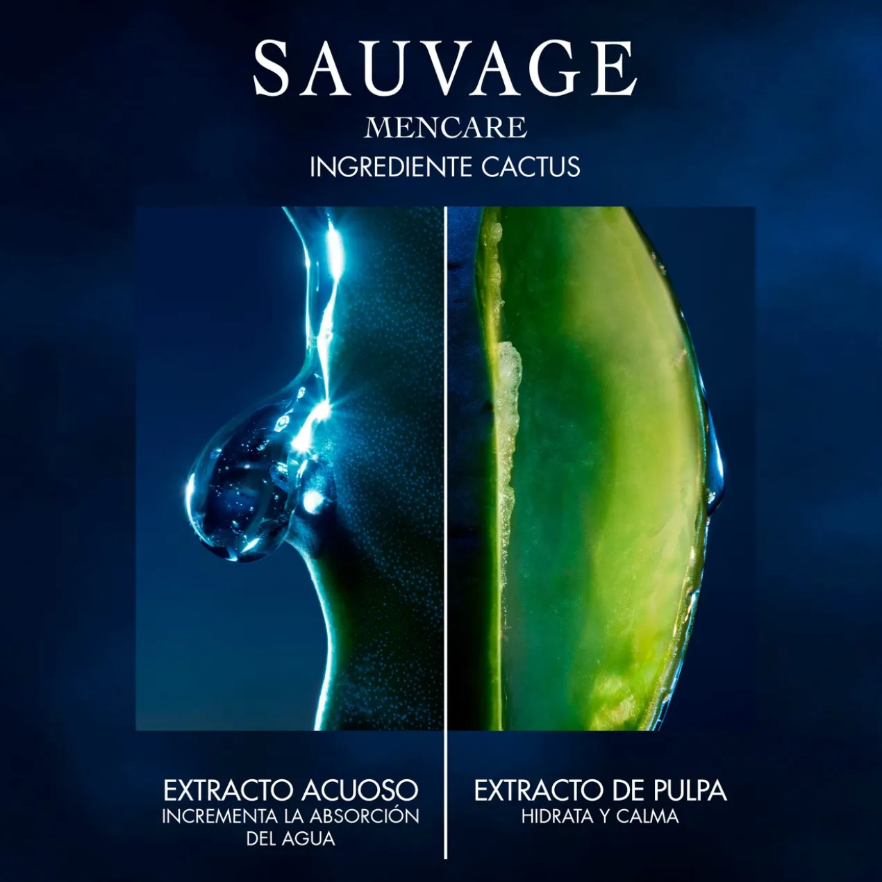 Sauvage Sérum