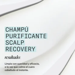 Scalp Recovery Shampoing Anti-pelliculaire