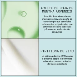 Scalp Recovery Shampoing Anti-pelliculaire