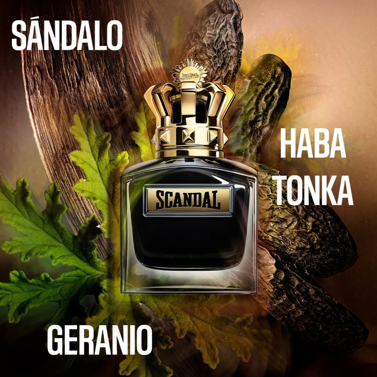 Scandal Le Parfum Pour Homme