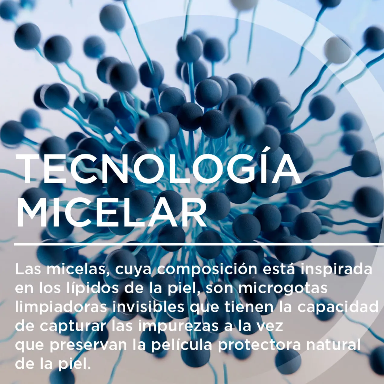 Sensibio Gel Moussant