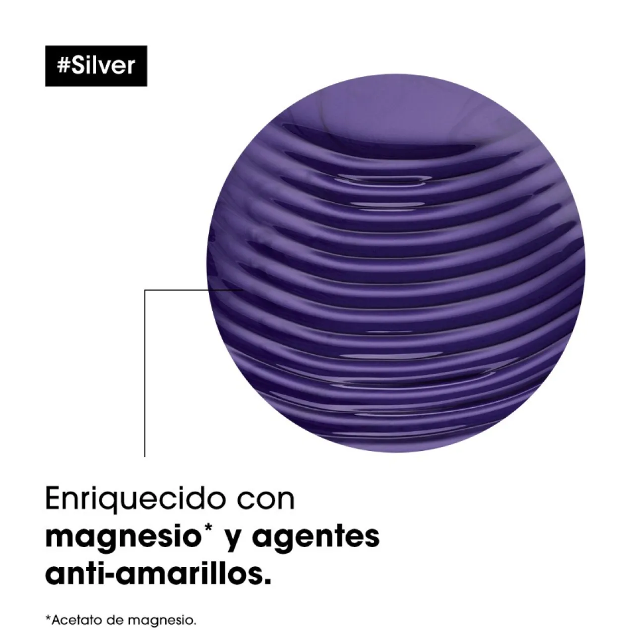Serie Expert Silver Shampoing