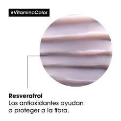 Serie Expert Vitamino Color Masque