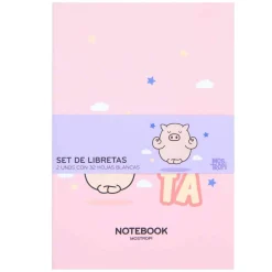 Set 2 Carnets