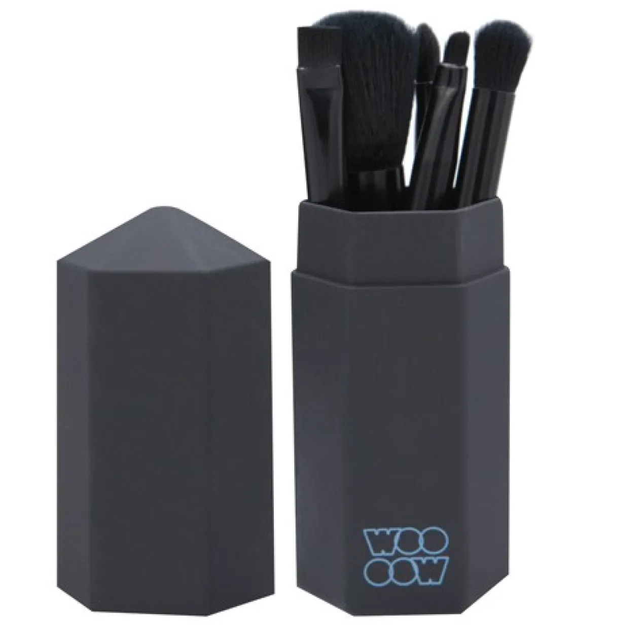 Set de Pinceaux de Voyage The Minis