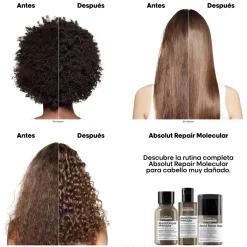Set 2 Minis Absolut Repair Molecular Shampoing+Masque
